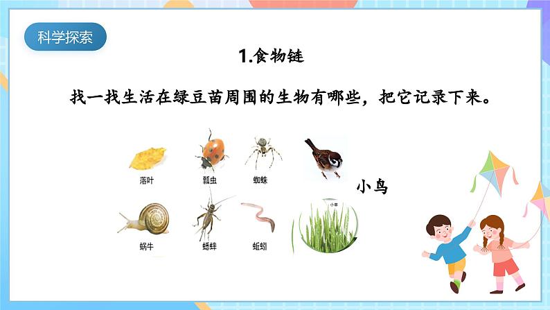 【核心素养】教科版科学五年级下册 1.6《食物链和食物网》课件第6页