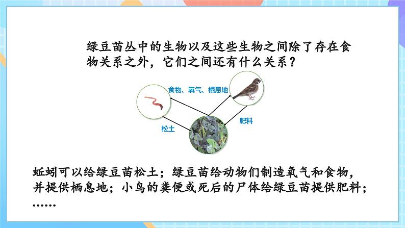 【核心素养】教科版科学五年级下册 1.7《设计和制作生态瓶》课件第4页