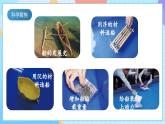 【核心素养】教科版科学五年级下册 2.6《设计我们的小船 》课件+教案+素材
