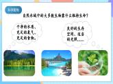 【核心素养】教科版科学五年级下册 3.7《分析一个实际的环境问题》课件+教案+素材