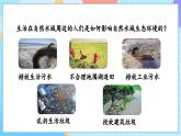 【核心素养】教科版科学五年级下册 3.7《分析一个实际的环境问题》课件+教案+素材