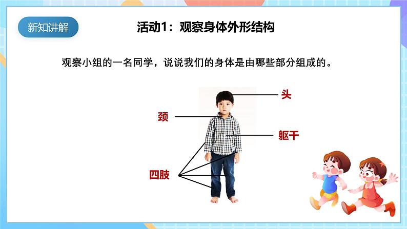 【核心素养】教科版科学二年级下册 2.1《观察我们的身体》课件第8页