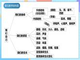 【核心素养】教科版科学二年级下册 2.3《观察与比较》课件+教案+素材