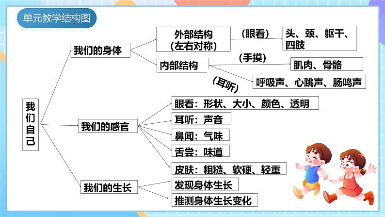 【核心素养】教科版科学二年级下册 2.4《测试反应快慢》课件第4页