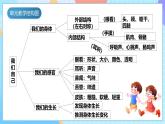 【核心素养】教科版科学二年级下册 2.5《发现生长》课件+教案+素材