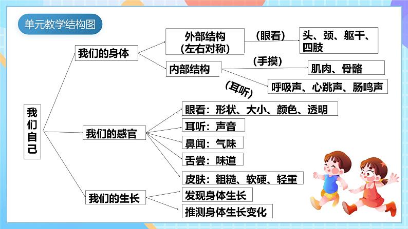 【核心素养】教科版科学二年级下册 2.5《发现生长》课件第4页