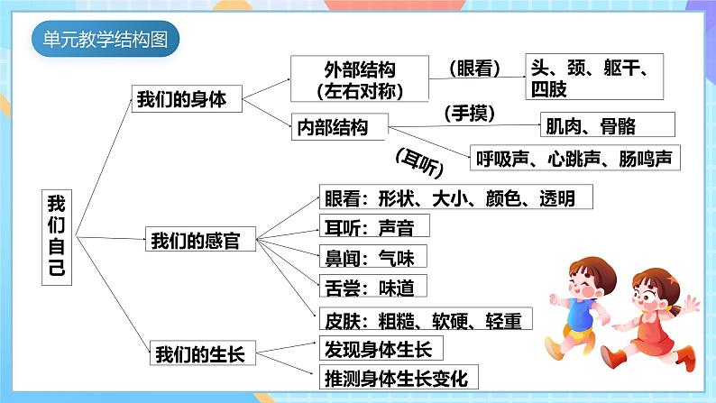 【核心素养】教科版科学二年级下册 2.6《身体的“时间胶囊”》课件第4页