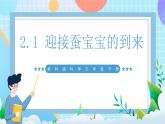 【核心素养】教科版科学三年级下册 2.1《迎接蚕宝宝的到来》课件+教案+素材
