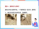 【核心素养】教科版科学三年级下册 2.1《迎接蚕宝宝的到来》课件+教案+素材