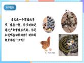 【核心素養(yǎng)】教科版科學(xué)三年級(jí)下冊(cè) 2.2 《認(rèn)識(shí)其他動(dòng)物的卵》課件+教案+素材