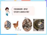 【核心素養(yǎng)】教科版科學(xué)三年級(jí)下冊(cè) 2.2 《認(rèn)識(shí)其他動(dòng)物的卵》課件+教案+素材