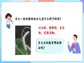 【核心素養(yǎng)】教科版科學(xué)三年級(jí)下冊(cè) 2.3 《蠶長(zhǎng)大了》課件+教案+素材