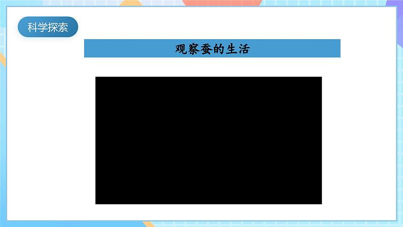 【核心素养】教科版科学三年级下册 2.3 《蚕长大了》课件第5页