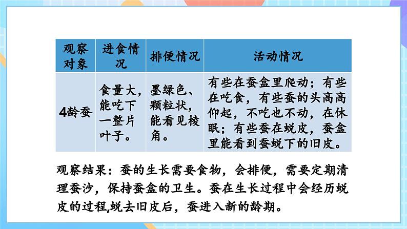 【核心素养】教科版科学三年级下册 2.3 《蚕长大了》课件第7页