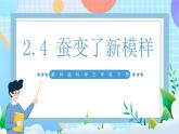 【核心素養(yǎng)】教科版科學(xué)三年級(jí)下冊(cè) 2.4《蠶變了新模樣》課件+教案+素材