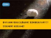 【核心素養(yǎng)】教科版科學(xué)三年級(jí)下冊(cè) 2.4《蠶變了新模樣》課件+教案+素材