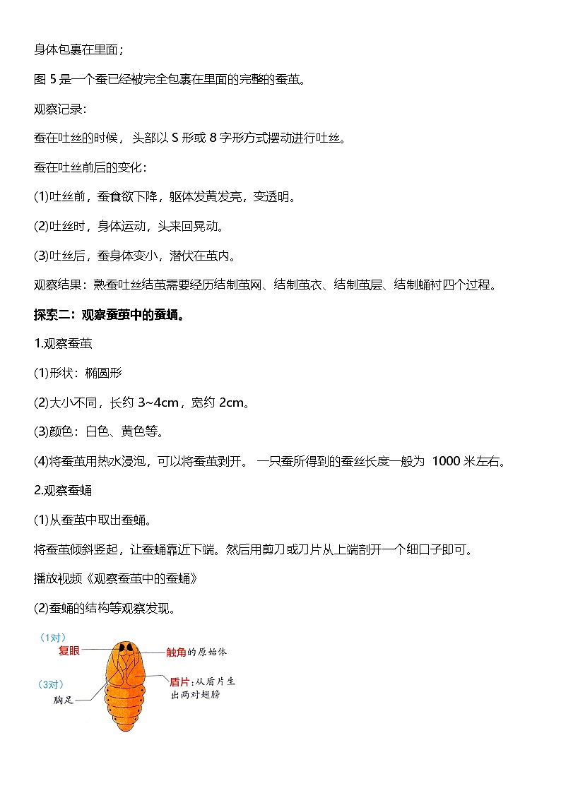 【核心素养】教科版科学三年级下册 2.4《蚕变了新模样》教案第3页