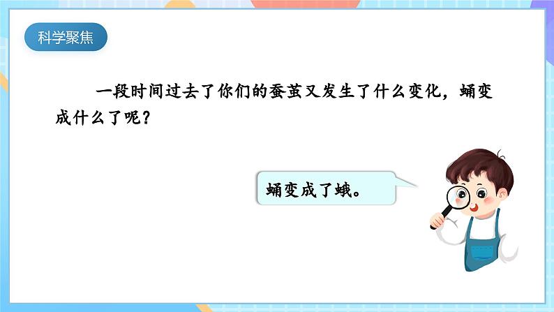 【核心素养】教科版科学三年级下册 2.5 《茧中钻出了蚕蛾》课件第3页