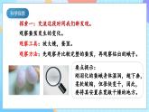 【核心素养】教科版科学三年级下册 2.5 《茧中钻出了蚕蛾》课件+教案+素材