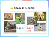【核心素養(yǎng)】教科版科學(xué)三年級(jí)下冊(cè) 2.7《動(dòng)物的繁殖》課件+教案+素材
