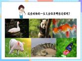 【核心素养】教科版科学三年级下册 2.8 《动物的一生》课件+教案+素材