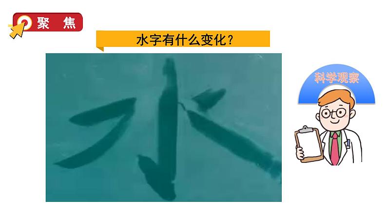 2024教科版科学三年级上册第一单元水1水到哪里去了教学课件第7页