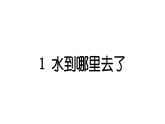 2024教科版科学三年级上册第一单元水1 水到哪里去了 作业课件