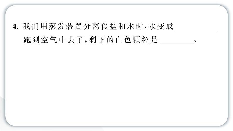 2024教科版科学三年级上册第一单元水7 混合与分离 作业课件第5页