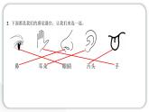 2024教科版科学一年级上册第一单元植物第一单元学习达标测试 作业课件ppt