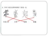 2024教科版科学一年级上册第一单元植物第一单元学习达标测试 作业课件ppt