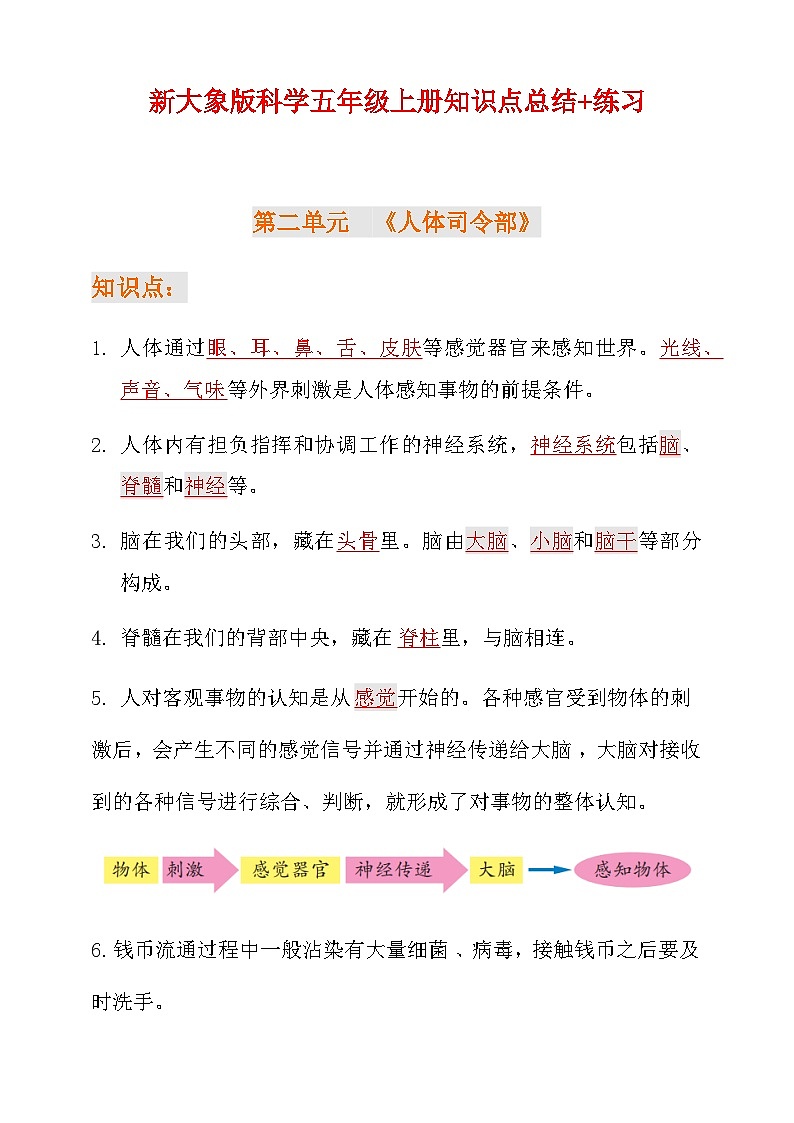 新大象版科学五年级上册第二单元知识点总结+练习第1页
