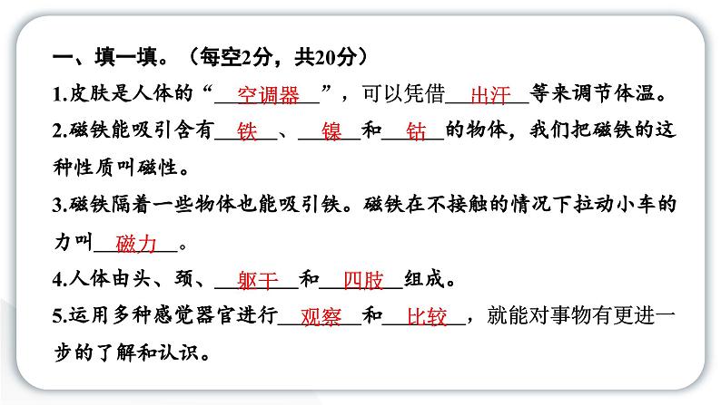 2024教科版科学二年级下册期末测试卷 作业课件第2页