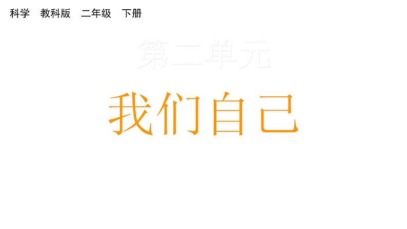 2024教科版科学二年级下册第二单元我们自己1观察我们的身体教学课件第1页