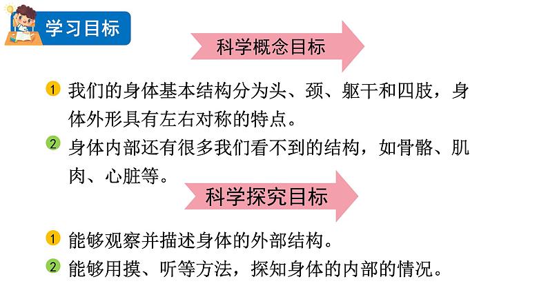 2024教科版科学二年级下册第二单元我们自己1观察我们的身体教学课件第3页