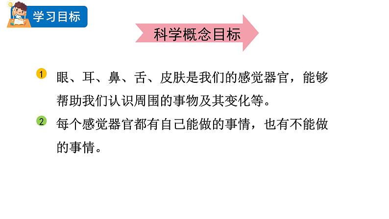 2024教科版科学二年级下册第二单元我们自己2通过感官来发现教学课件第2页