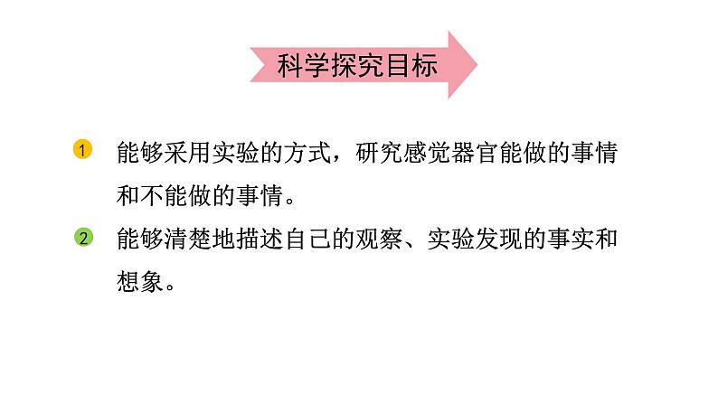 2024教科版科学二年级下册第二单元我们自己2通过感官来发现教学课件第3页