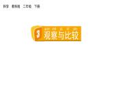 2024教科版科學二年級下冊第二單元我們自己3觀察與比較教學課件