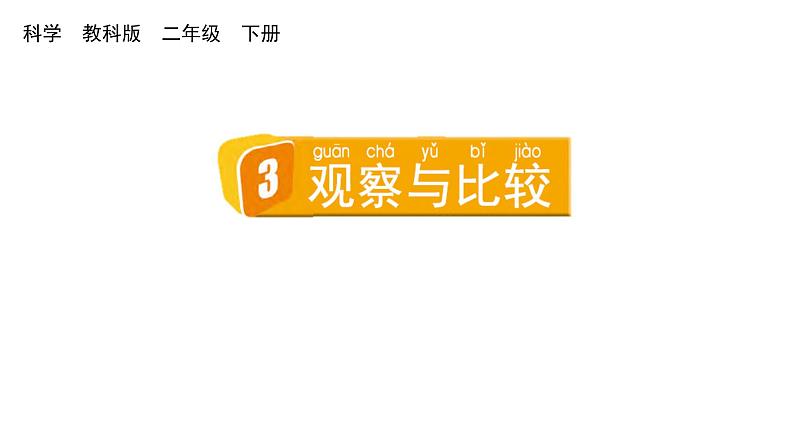 2024教科版科学二年级下册第二单元我们自己3观察与比较教学课件第1页