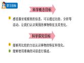 2024教科版科學二年級下冊第二單元我們自己3觀察與比較教學課件