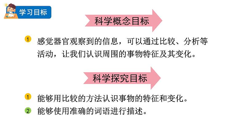 2024教科版科学二年级下册第二单元我们自己3观察与比较教学课件第2页