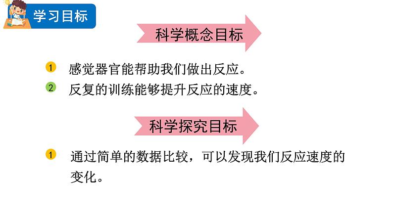 2024教科版科学二年级下册第二单元我们自己4测试反应快慢教学课件第2页