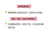 2024教科版科学二年级下册第二单元我们自己4测试反应快慢教学课件