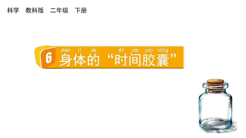 2024教科版科学二年级下册第二单元我们自己6身体的“时间胶囊”教学课件第1页