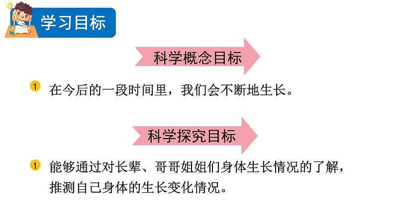 2024教科版科学二年级下册第二单元我们自己6身体的“时间胶囊”教学课件第2页