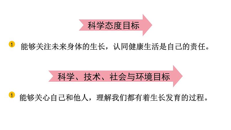 2024教科版科学二年级下册第二单元我们自己6身体的“时间胶囊”教学课件第3页