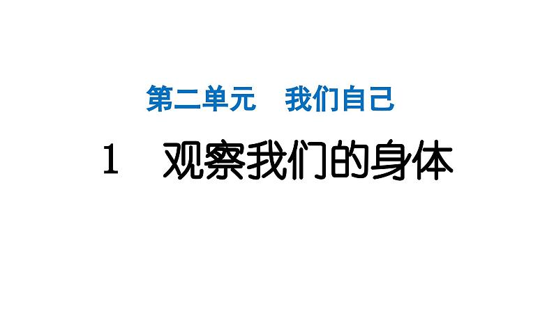 2024教科版科学二年级下册第二单元我们自己1观察我们的身体 作业课件第1页