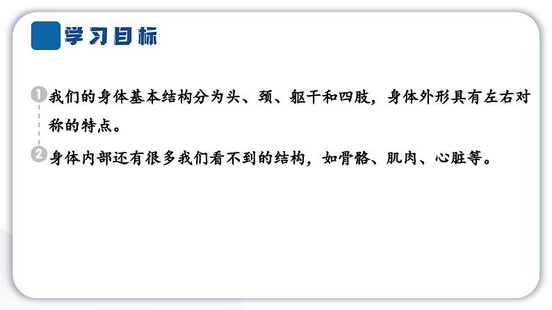 2024教科版科学二年级下册第二单元我们自己1观察我们的身体 作业课件第2页