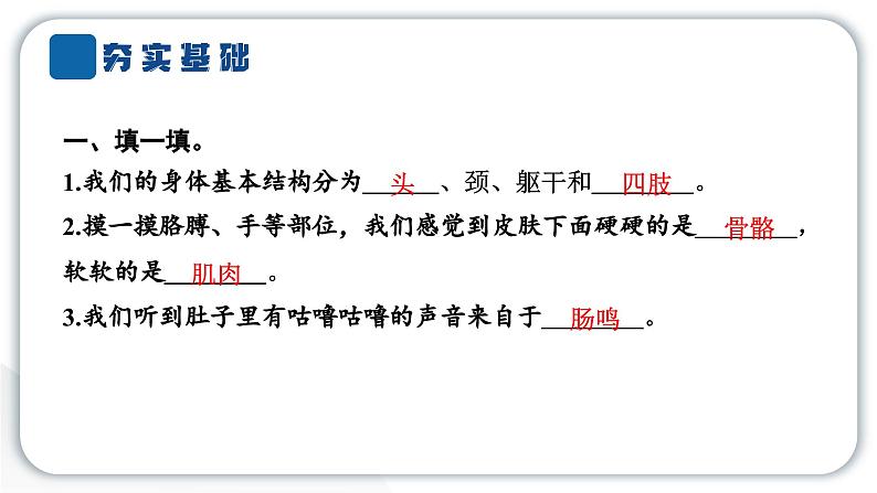 2024教科版科学二年级下册第二单元我们自己1观察我们的身体 作业课件第3页