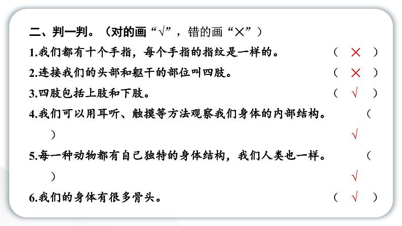 2024教科版科学二年级下册第二单元我们自己1观察我们的身体 作业课件第4页