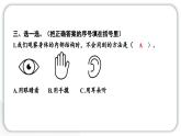 2024教科版科学二年级下册第二单元我们自己1观察我们的身体 作业课件
